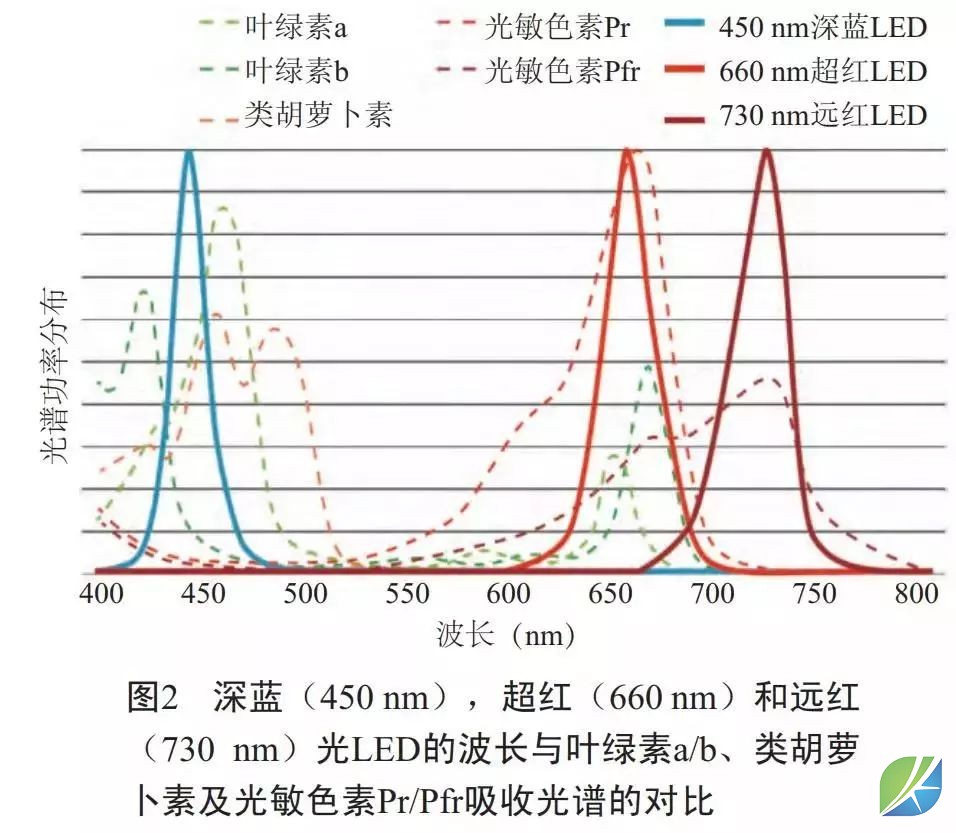 蜜桃mt传媒在线观影视频
