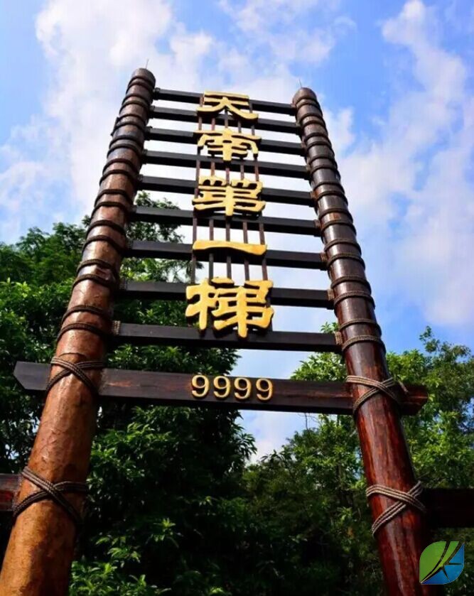 蜜桃mt传媒在线观影视频