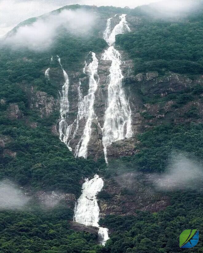 蜜桃mt传媒在线观影视频