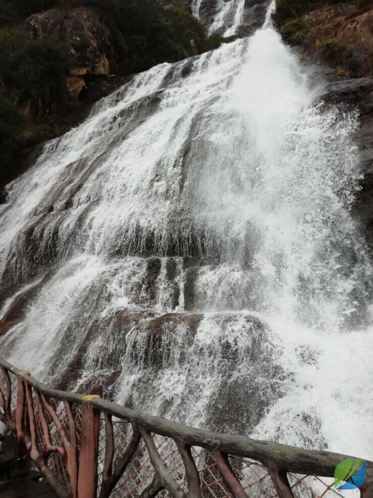 蜜桃mt传媒在线观影视频