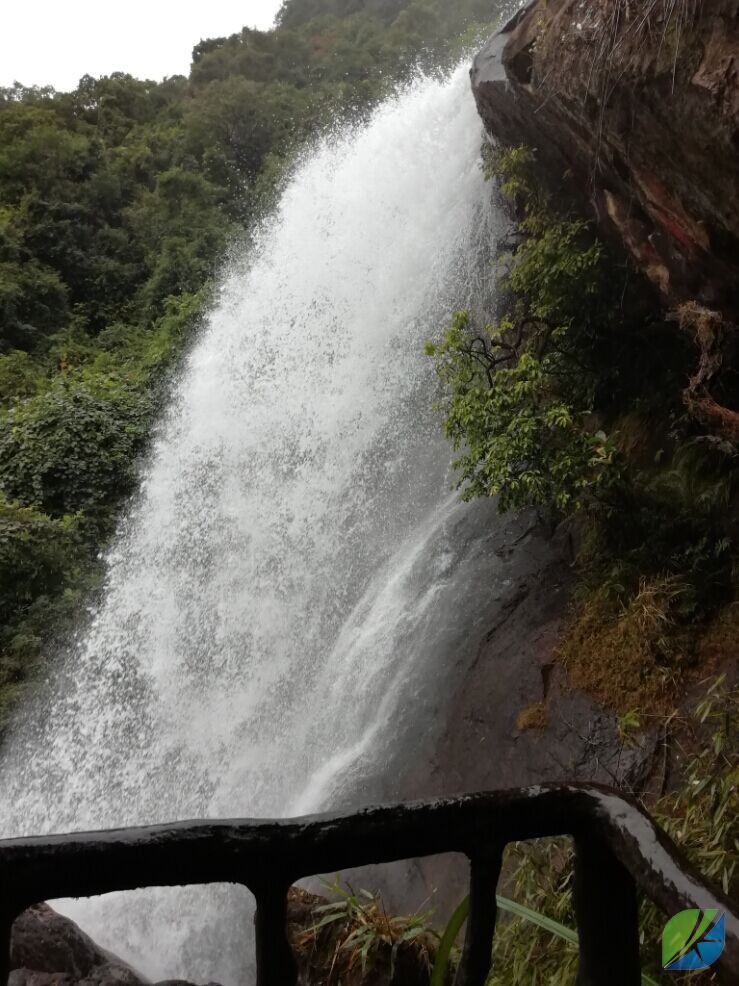 蜜桃mt传媒在线观影视频