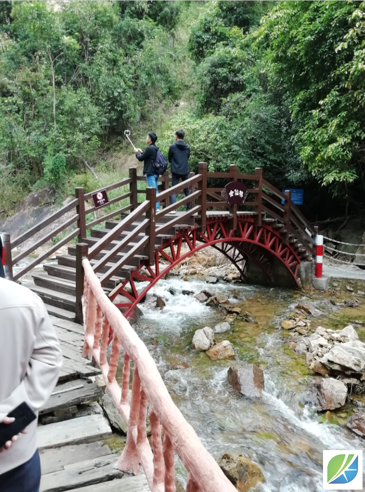 蜜桃mt传媒在线观影视频