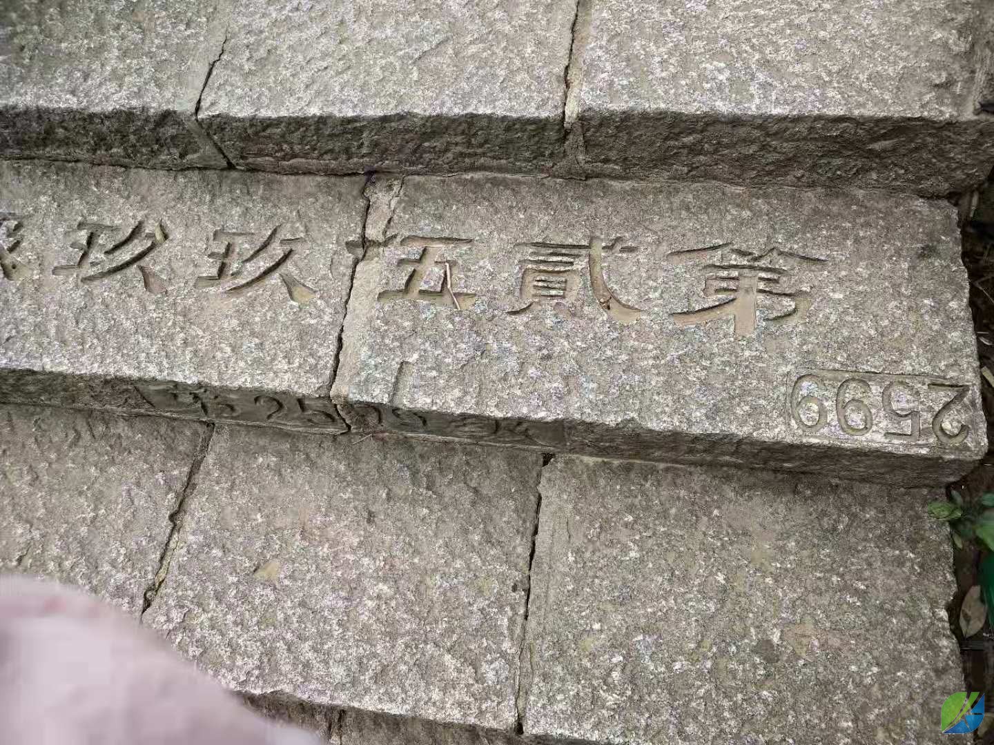 蜜桃mt传媒在线观影视频