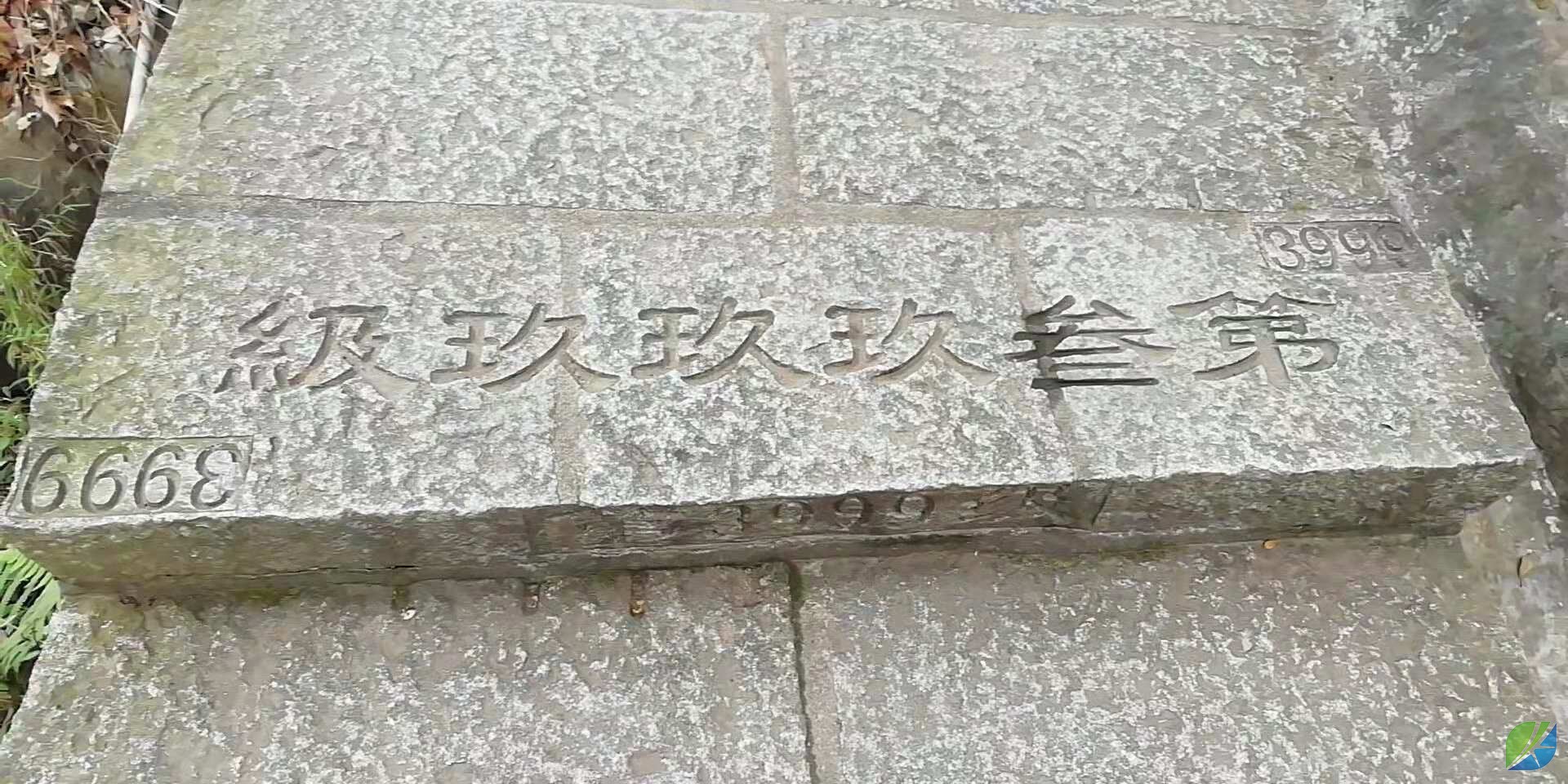 蜜桃mt传媒在线观影视频