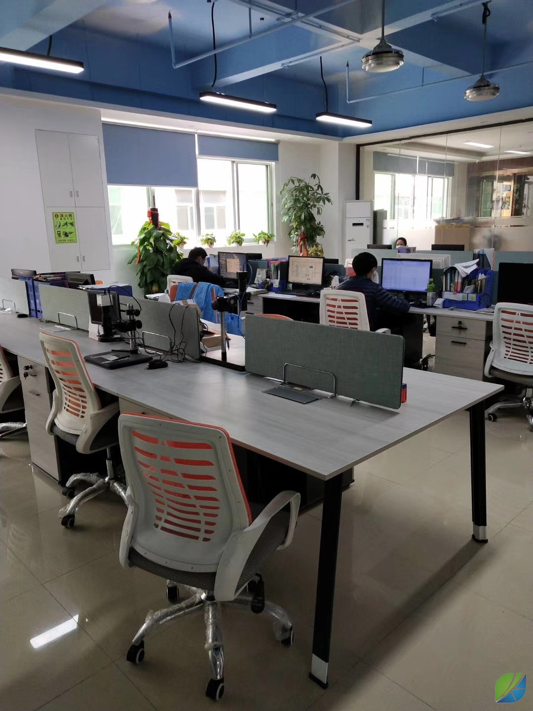 蜜桃mt传媒在线观影视频