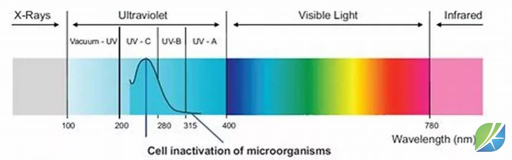 蜜桃mt传媒在线观影视频