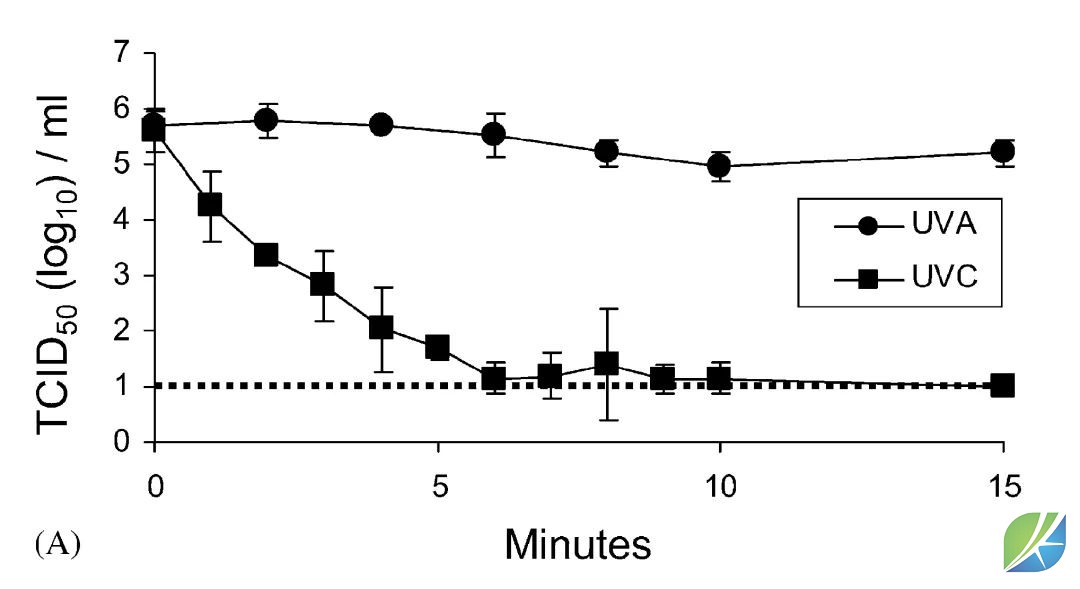 蜜桃mt传媒在线观影视频