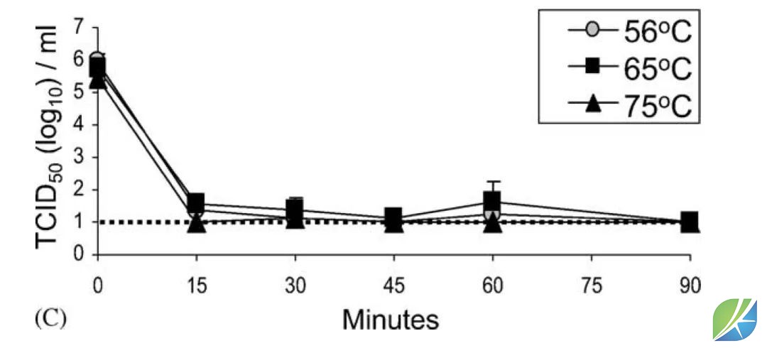 蜜桃mt传媒在线观影视频