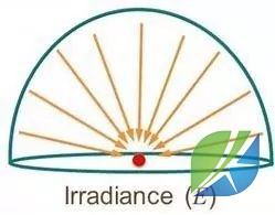 蜜桃mt传媒在线观影视频