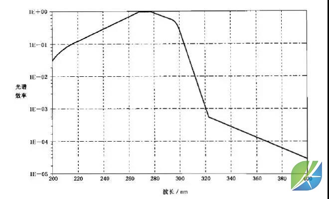 蜜桃mt传媒在线观影视频