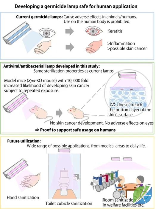 蜜桃mt传媒在线观影视频