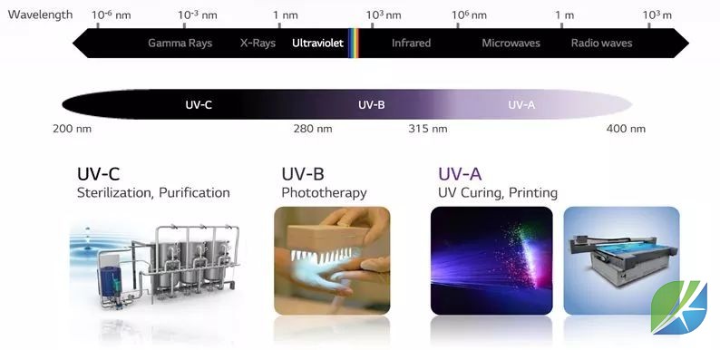 蜜桃mt传媒在线观影视频