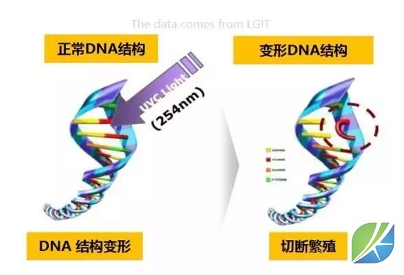 蜜桃mt传媒在线观影视频