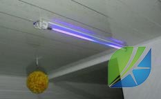 蜜桃mt传媒在线观影视频