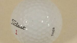According to the auctioneers, "dozens of people" witnessed the moment Woods handed the ball to Nexsen.